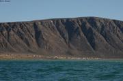 002 Grise Fiord