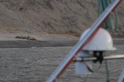 023 Dans Walrus Fiord