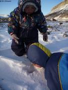 073 Les lemmings se cachent sous la neige