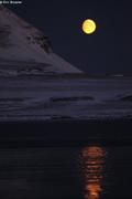 111 Clair de lune sur mer qui gele