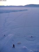 290 Traces dans neige fraiche