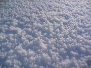 456 Fleurs de glace