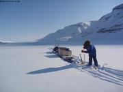 604 Mesures dans le fjord du Cap Sud