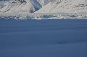 605 Banquise qui ondule sous la pression du glacier