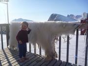 630 Aurore et peau d ours de Liza