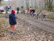 043 Leonie observe depart attelage 14 chiens