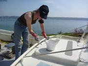 106 Retouches roof