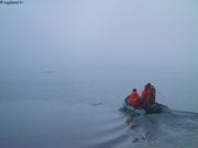 Brume