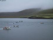 Iles Feroe