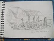 dessin de Franck