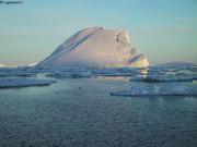 iceberg couchant