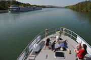 043 Large Saone