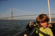 191 La souris sous le pont de Normandie
