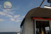 229 Cerf-volant Mer d Irlande