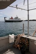 274 Croisement ferry