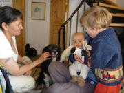 317 Petits chiots chez Hansine