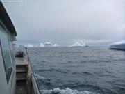 411 Champ d icebergs