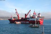 493 Grutage Ecotroll Arina Arctica