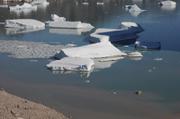 517 Ecotroll et icebergs depuis moraine