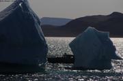 594 Entre deux icebergs
