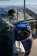 603 Equipement pour GREA