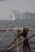 071 Iceberg dans la brume