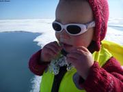 108 Glace nature
