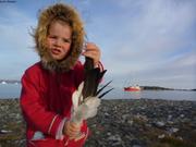 197 Plumes d oies Moriussaq