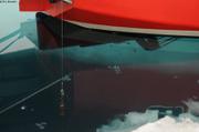 269a Immersion CTD
