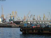 041 Grues Mourmansk