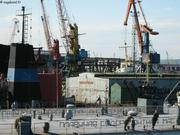 042 Grues Mourmansk2
