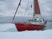 078 Vagabond iceparked