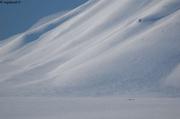 156 Motoneiges sur glacier