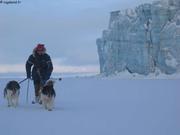 174 Eric chiens glacier