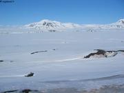 206 Inglefieldbukta 10 juin 2005