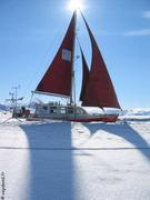 210 Vagabond voiles banquise 1