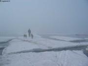 238 Debacle dans la brume