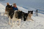 063 France joue avec chiens