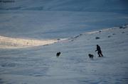 066 Loin des pistes