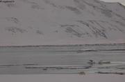 070 Ours ice edge