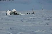 088 Iceberg Vagabond mat meteo