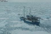173 De Longyearbyen a Vagabond avec le Lance