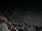 053 Nuit polaire traces d ours et debacle