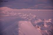 079 Storfjord 6 fevrier 2007