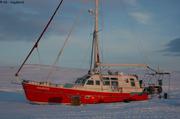 149 Vagabond couchant