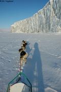 193 En traineau le long du glacier