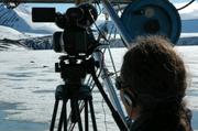242 Filmer les phoques