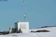 251 Ours et cabane