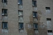 12 Colonie Tridactyles Pyramiden