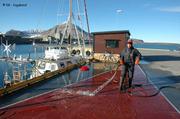 76 Nettoyage Grand Voile